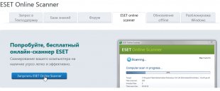 2014-06-12 10_06_37-ESET Online Scanner является бесплатным сервисом